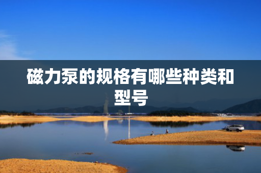 磁力泵的规格有哪些种类和型号
