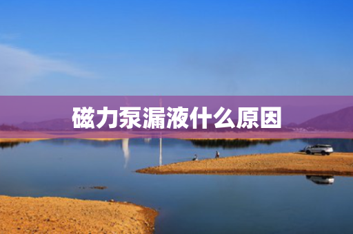 磁力泵漏液什么原因