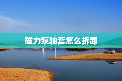 磁力泵轴套怎么拆卸
