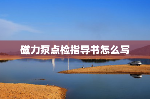 磁力泵点检指导书怎么写