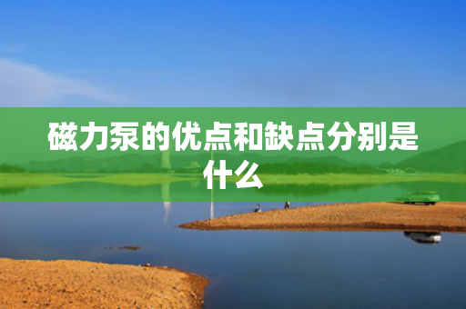 磁力泵的优点和缺点分别是什么