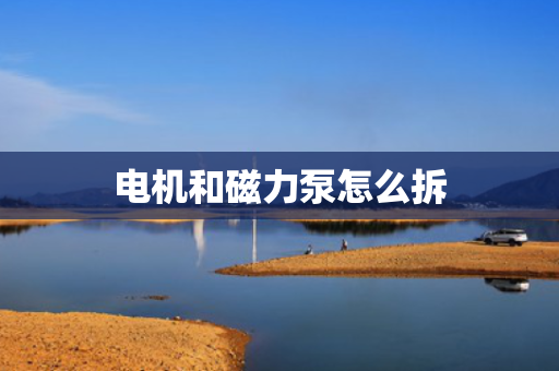 电机和磁力泵怎么拆