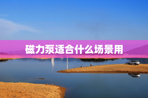 磁力泵适合什么场景用