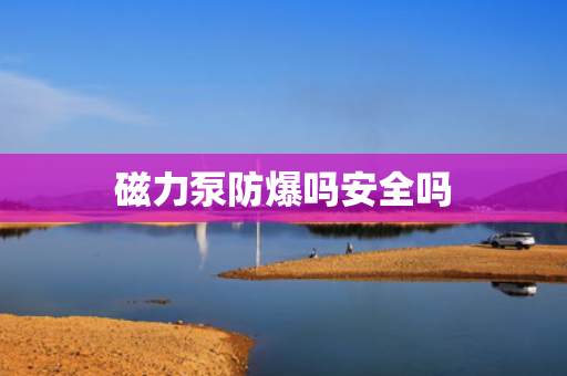 磁力泵防爆吗安全吗