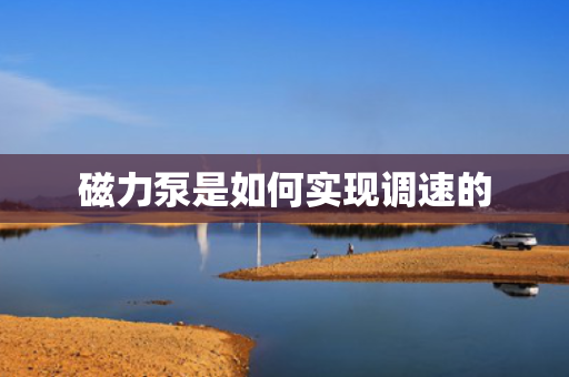 磁力泵是如何实现调速的