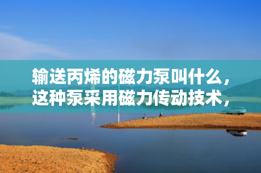 输送丙烯的磁力泵叫什么，这种泵采用磁力传动技术，防泄漏、耐腐蚀，特别适用于输送丙烯等化学物质。
