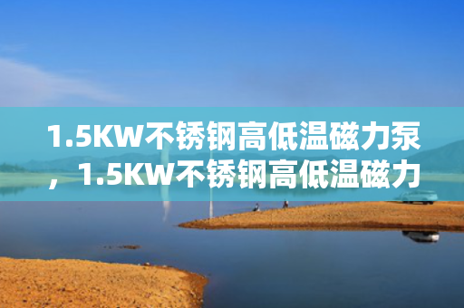 1.5KW不锈钢高低温磁力泵，1.5KW不锈钢高低温磁力泵——高效、稳定的流体输送解决方案