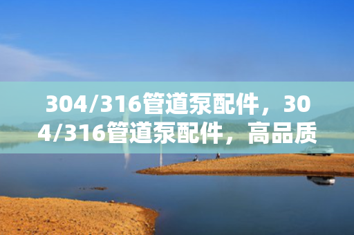 304/316管道泵配件，304/316管道泵配件，高品质选择，保障流体输送顺畅