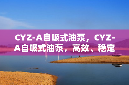 CYZ-A自吸式油泵，CYZ-A自吸式油泵，高效、稳定的自吸泵解决方案