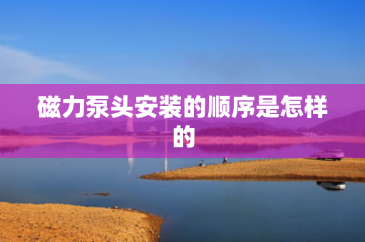 磁力泵头安装的顺序是怎样的