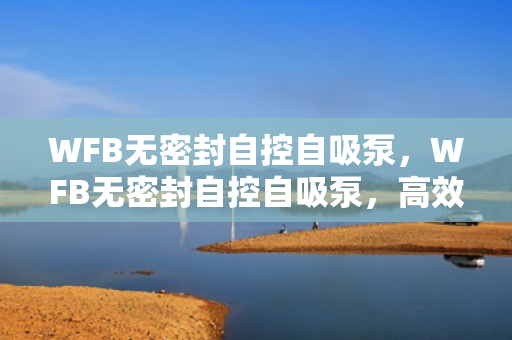 WFB无密封自控自吸泵，WFB无密封自控自吸泵，高效、稳定、无泄漏的理想选择