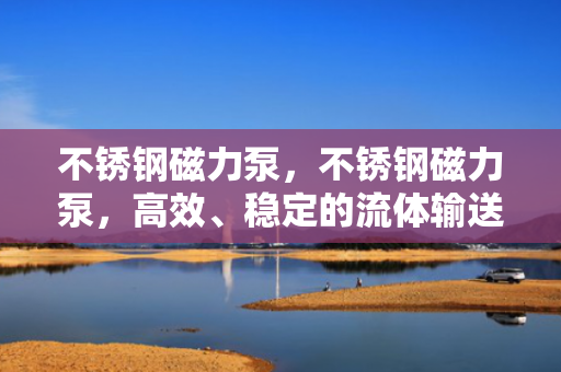 不锈钢磁力泵，不锈钢磁力泵，高效、稳定的流体输送解决方案