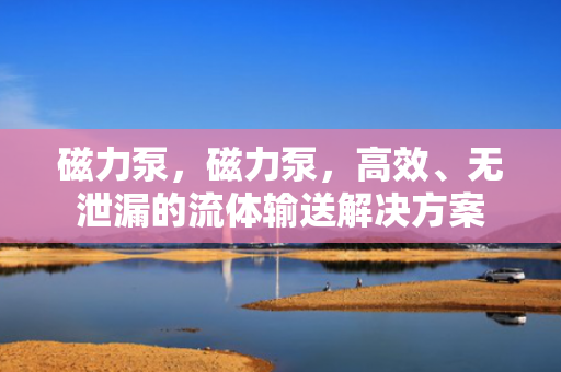 磁力泵，磁力泵，高效、无泄漏的流体输送解决方案