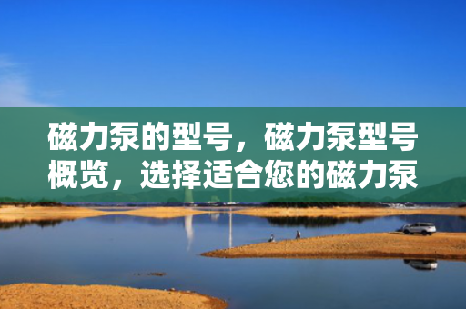 磁力泵的型号，磁力泵型号概览，选择适合您的磁力泵型号