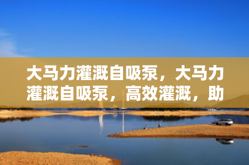 大马力灌溉自吸泵，大马力灌溉自吸泵，高效灌溉，助力农业生产