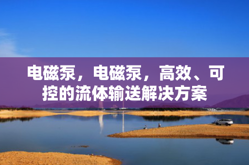 电磁泵，电磁泵，高效、可控的流体输送解决方案