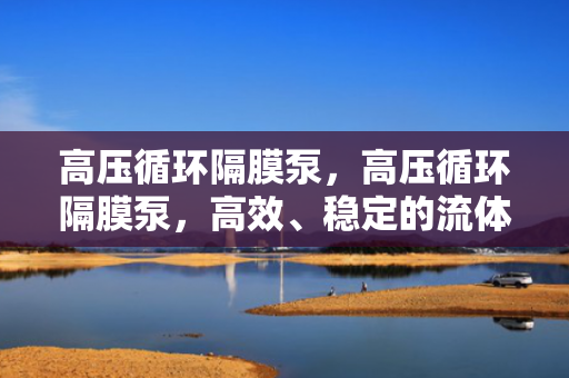 高压循环隔膜泵，高压循环隔膜泵，高效、稳定的流体输送解决方案