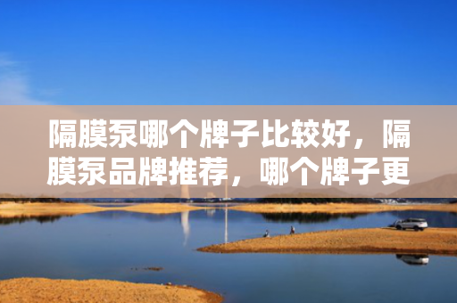 隔膜泵哪个牌子比较好，隔膜泵品牌推荐，哪个牌子更胜一筹？