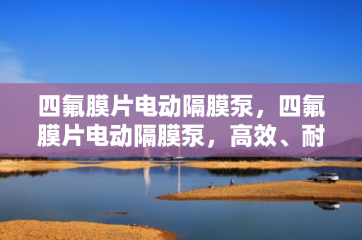 四氟膜片电动隔膜泵，四氟膜片电动隔膜泵，高效、耐腐蚀的流体输送解决方案