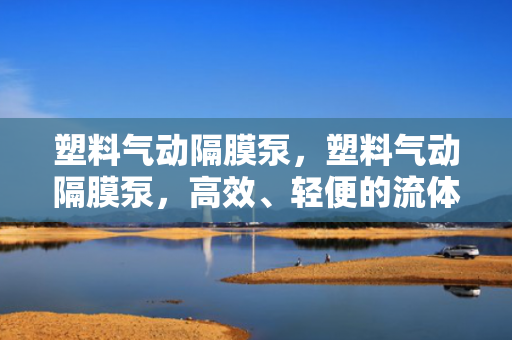 塑料气动隔膜泵，塑料气动隔膜泵，高效、轻便的流体输送解决方案
