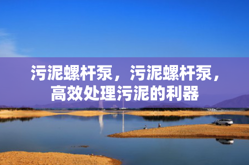 污泥螺杆泵，污泥螺杆泵，高效处理污泥的利器