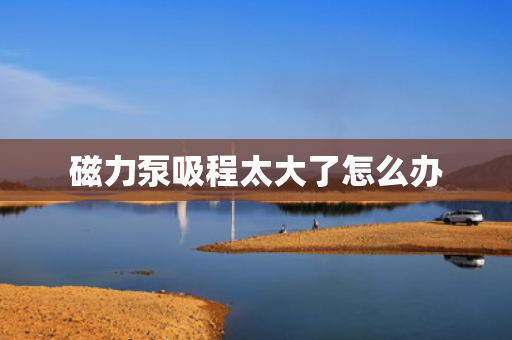 磁力泵吸程太大了怎么办