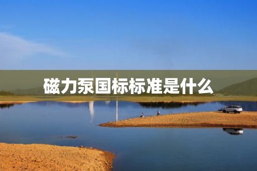 磁力泵国标标准是什么