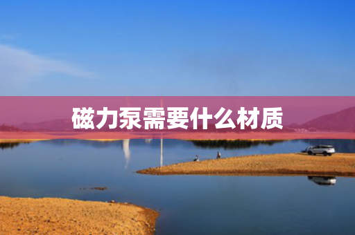 磁力泵需要什么材质