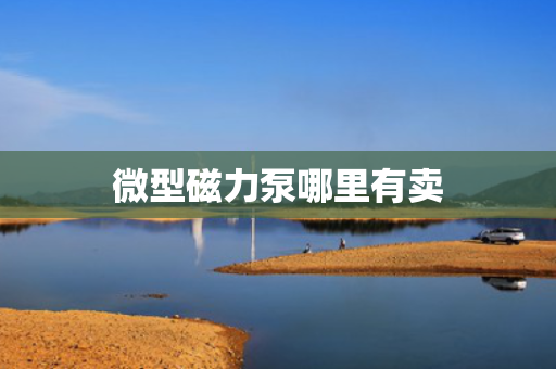 微型磁力泵哪里有卖
