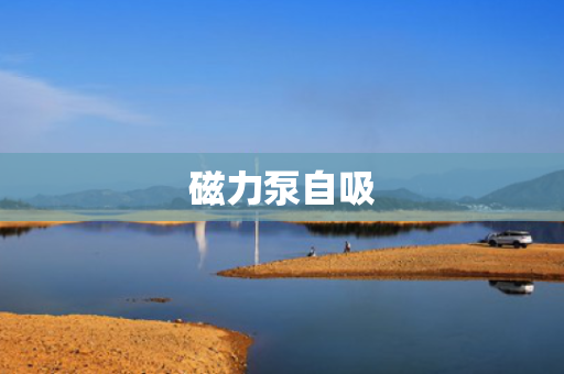 磁力泵自吸