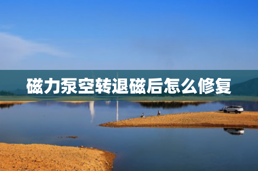 磁力泵空转退磁后怎么修复