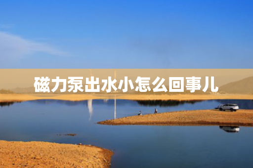 磁力泵出水小怎么回事儿