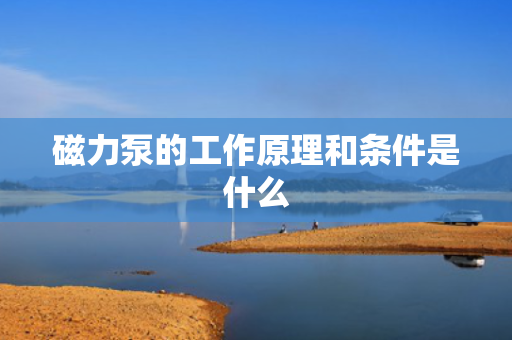 磁力泵的工作原理和条件是什么