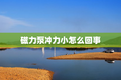 磁力泵冲力小怎么回事