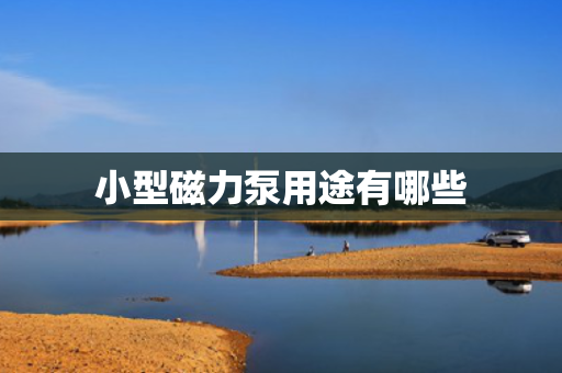 小型磁力泵用途有哪些