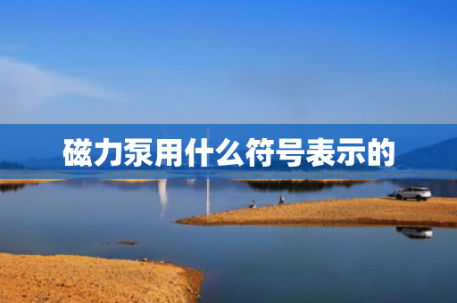 磁力泵用什么符号表示的