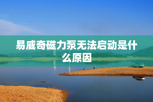 易威奇磁力泵无法启动是什么原因