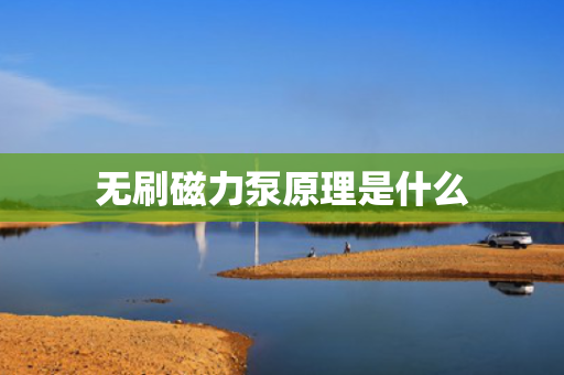 无刷磁力泵原理是什么