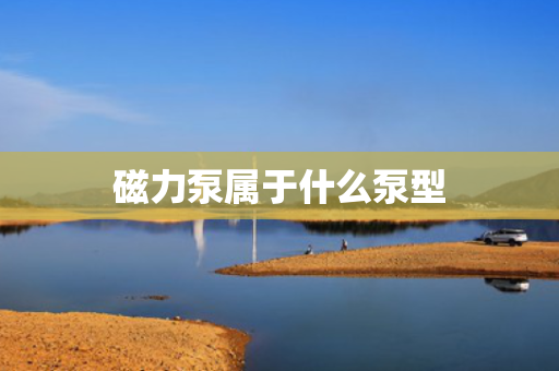 磁力泵属于什么泵型
