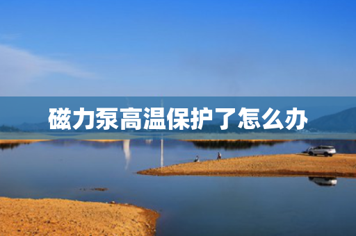 磁力泵高温保护了怎么办
