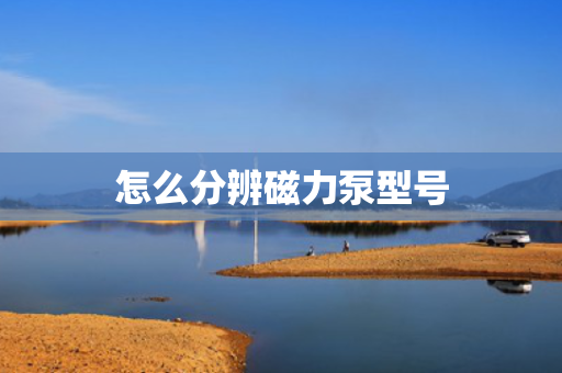 怎么分辨磁力泵型号