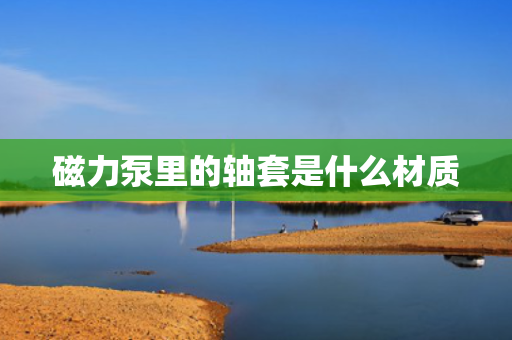 磁力泵里的轴套是什么材质