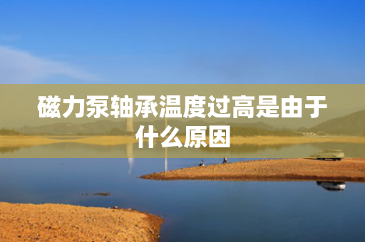 磁力泵轴承温度过高是由于什么原因