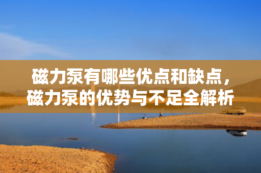磁力泵有哪些优点和缺点，磁力泵的优势与不足全解析