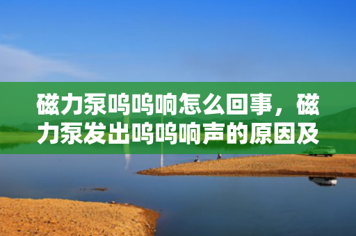 磁力泵呜呜响怎么回事，磁力泵发出呜呜响声的原因及解决方法