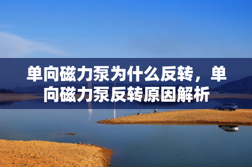 单向磁力泵为什么反转，单向磁力泵反转原因解析