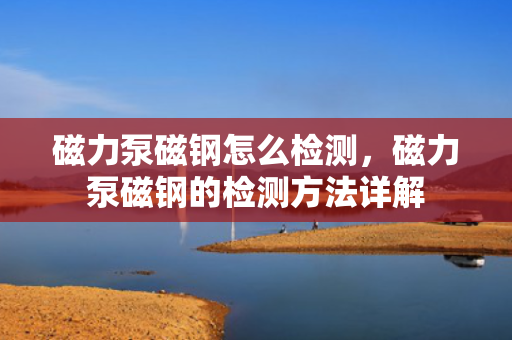 磁力泵磁钢怎么检测，磁力泵磁钢的检测方法详解