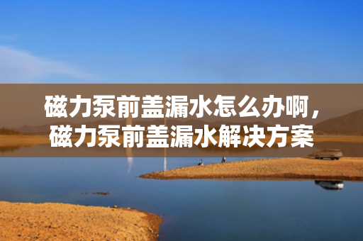 磁力泵前盖漏水怎么办啊，磁力泵前盖漏水解决方案
