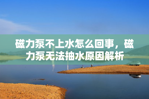 磁力泵不上水怎么回事，磁力泵无法抽水原因解析