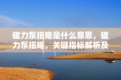 磁力泵扭矩是什么意思，磁力泵扭矩，关键指标解析及其影响因素
